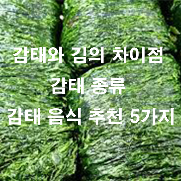 감태와 김의 차이점 감태 종류 감태 음식 추천 5가지