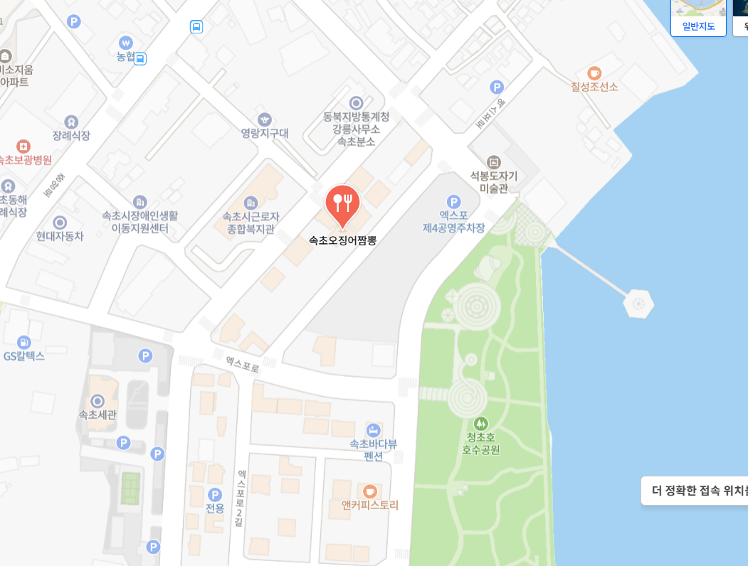 속초오징어짬뽕 - 네이버 지도 (naver.com)