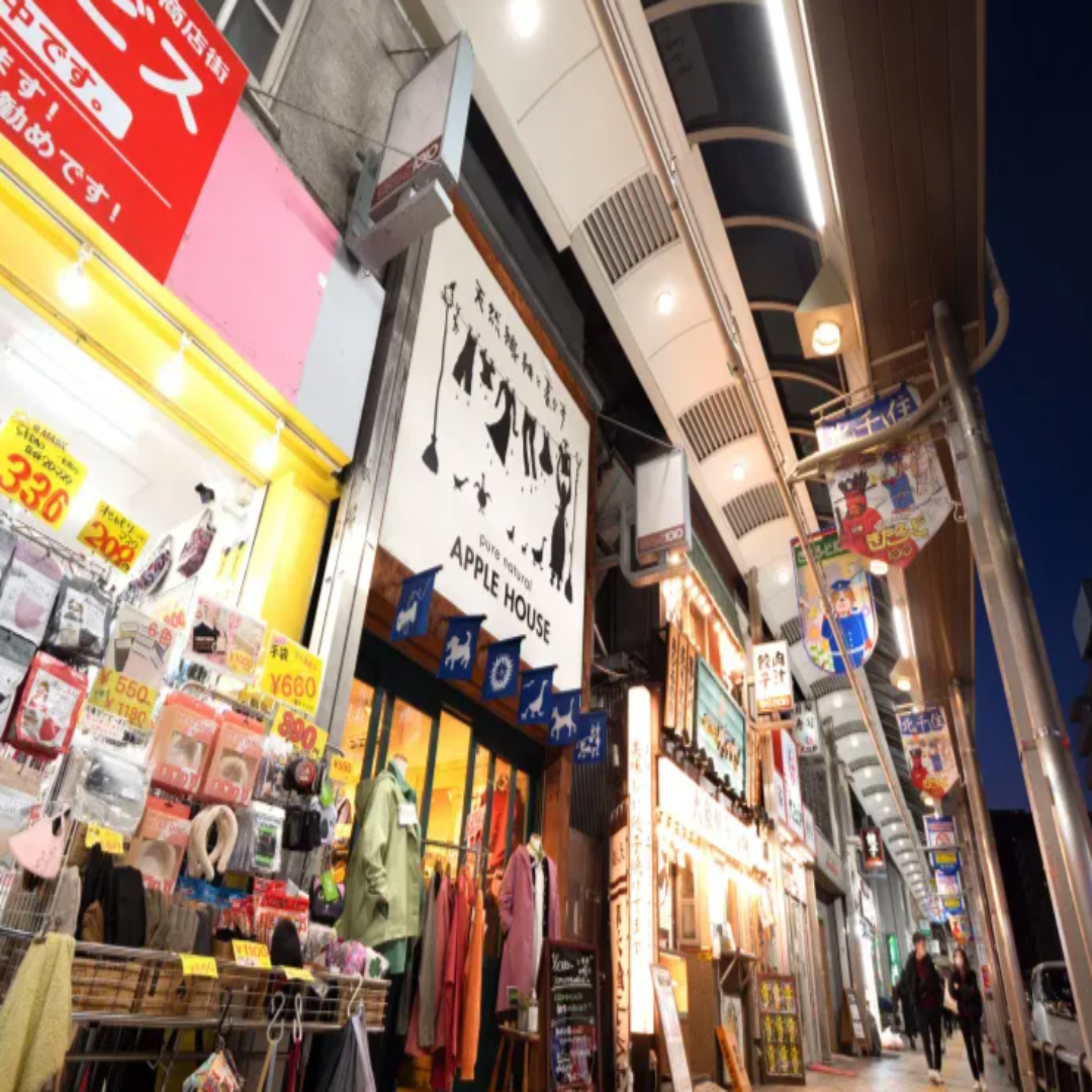 일본 기차 여행지 관련 사진