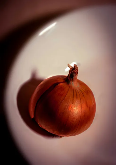 양파-사진