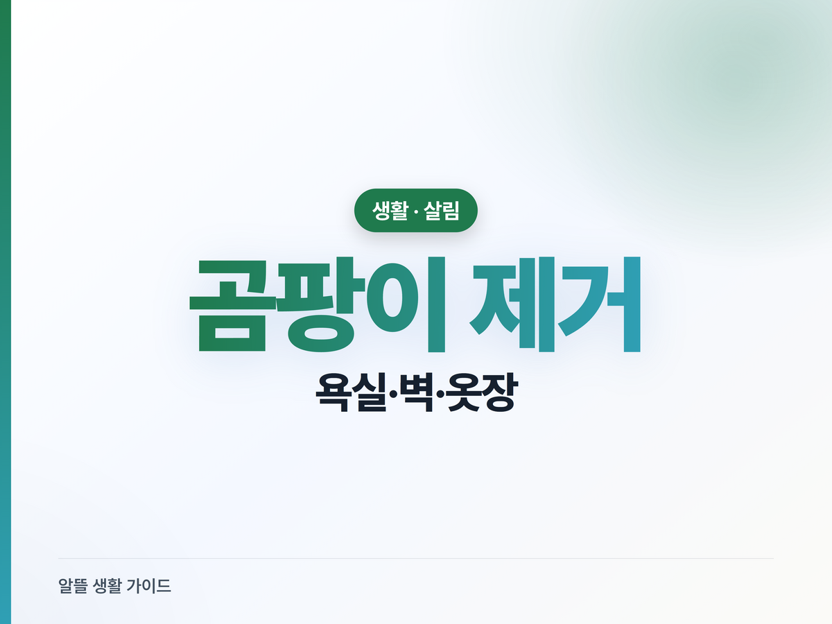 장마철 곰팡이 제거법, 욕실부터 옷장까지