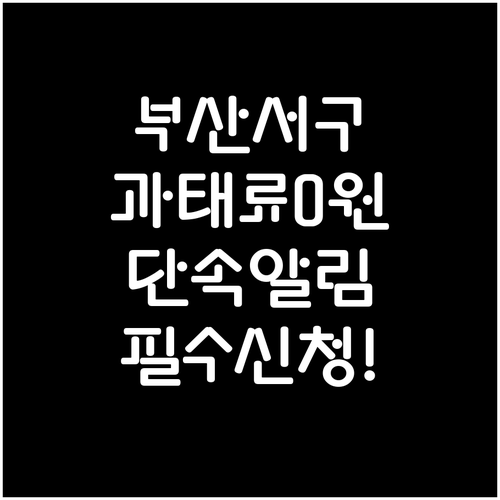 부산 서구 주정차단속알림 문자 서비스..