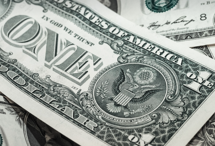 달러 확대 사진