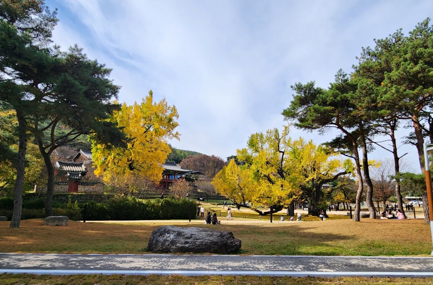 도동서원1