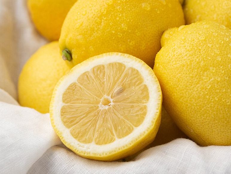 6시내고향 제주 조천 레몬 파는 곳 전국 택배 온라인 전화 주문 추천