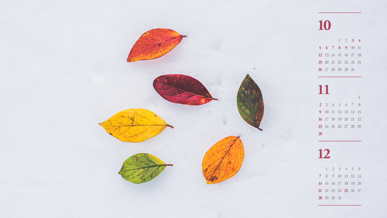 01 눈 위에 나뭇잎 B - 2025년11월 노트북배경화면