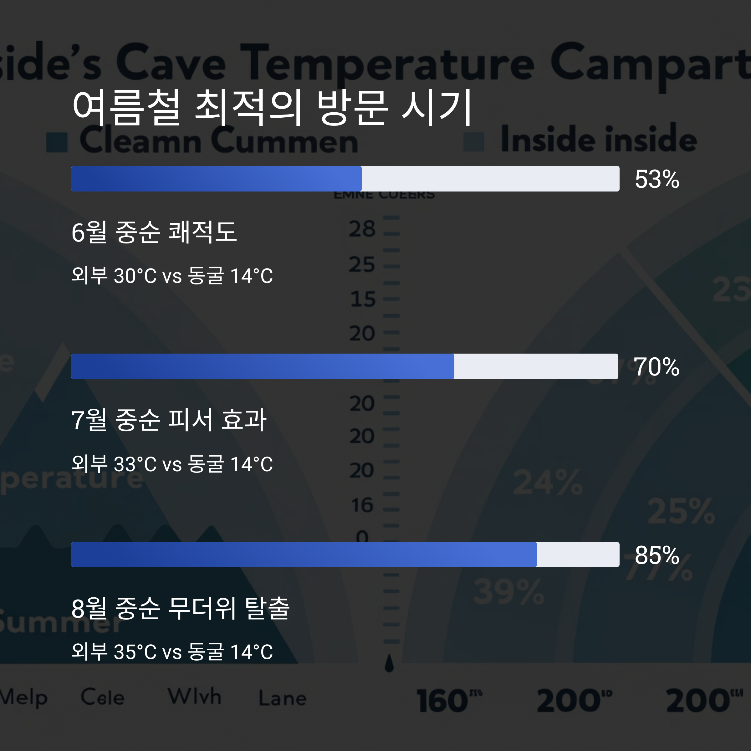여름철 최적의 방문 시기