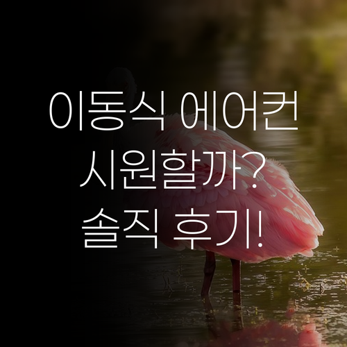 이동식 에어컨, 실외기 없이 시원할까