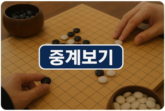 제8회 오청원배 세계여자바둑선수권