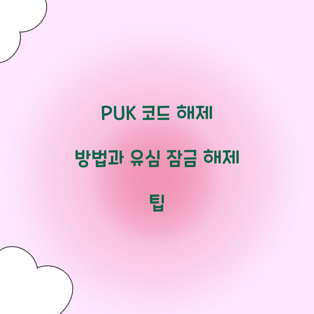 PUK 코드 해제 방법