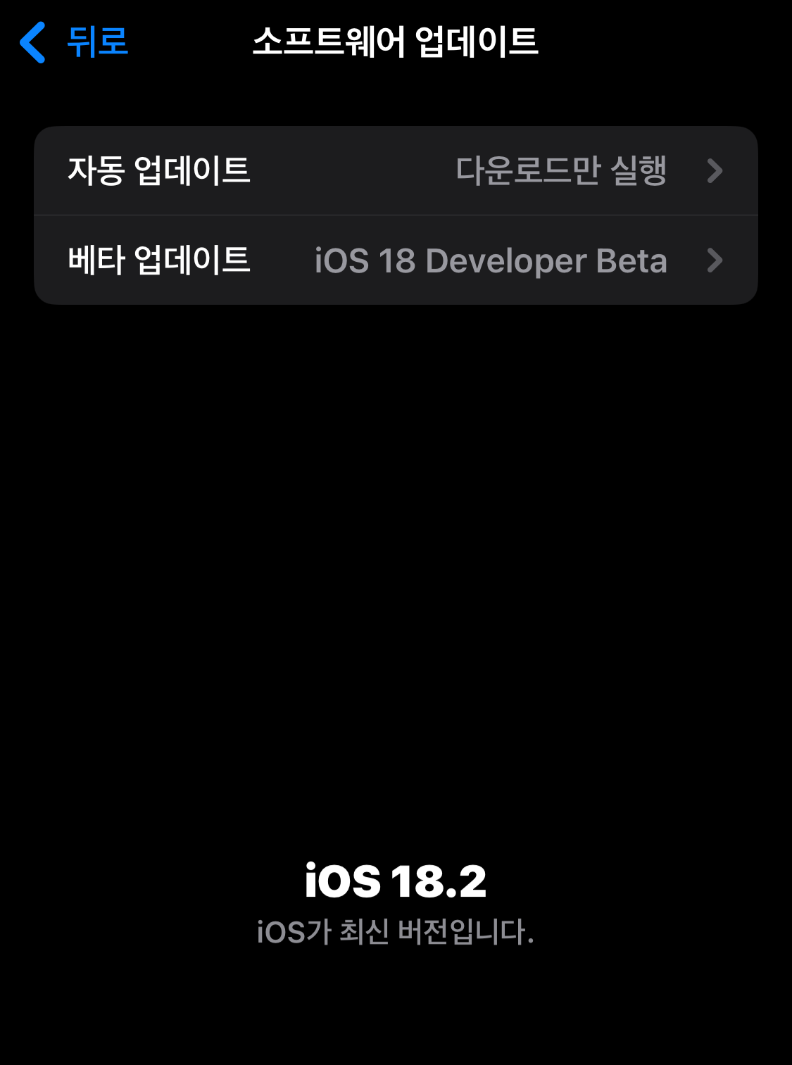 아이폰 설정 일반 소프트웨어 ㅇ버데이트 자동업데이트 베타업데이트 최신 업데이트 소프트웨어