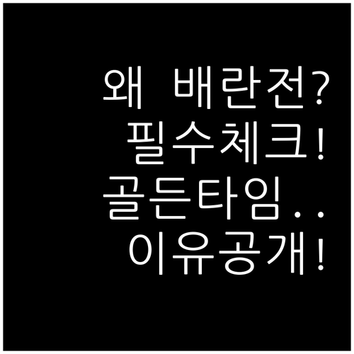 배란 전 나팔관 조영술 마쳐야 하는 ..
