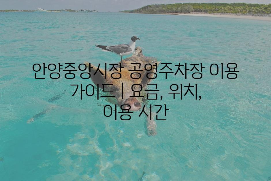 샘플 (1)