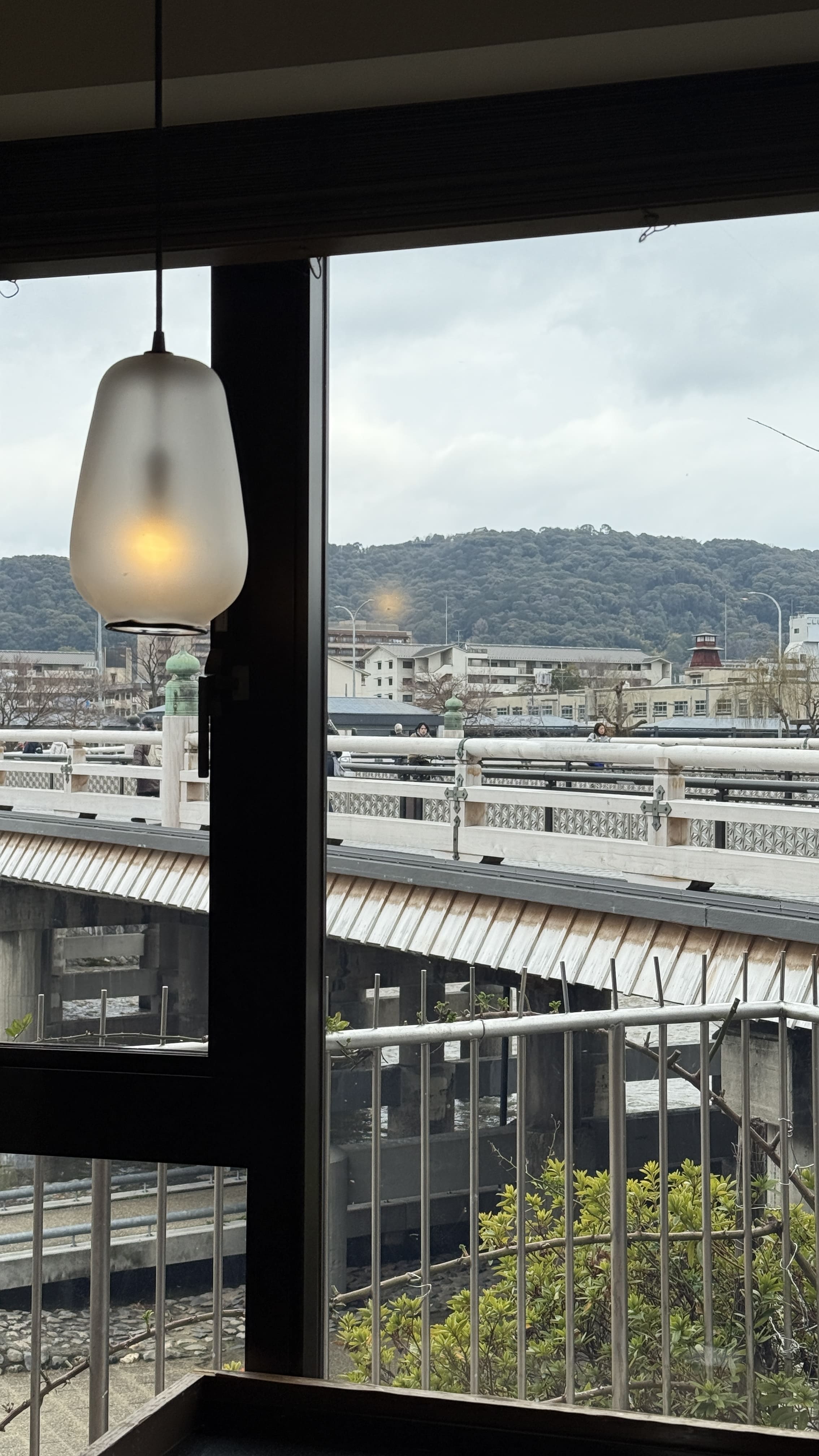 교토 봄여행 일본 스타벅스