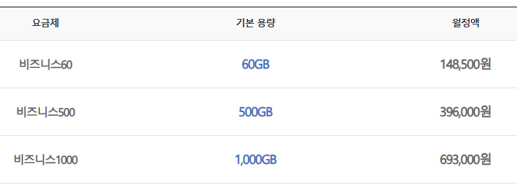 LG유플러스 웹하드 비지니스 요금제
