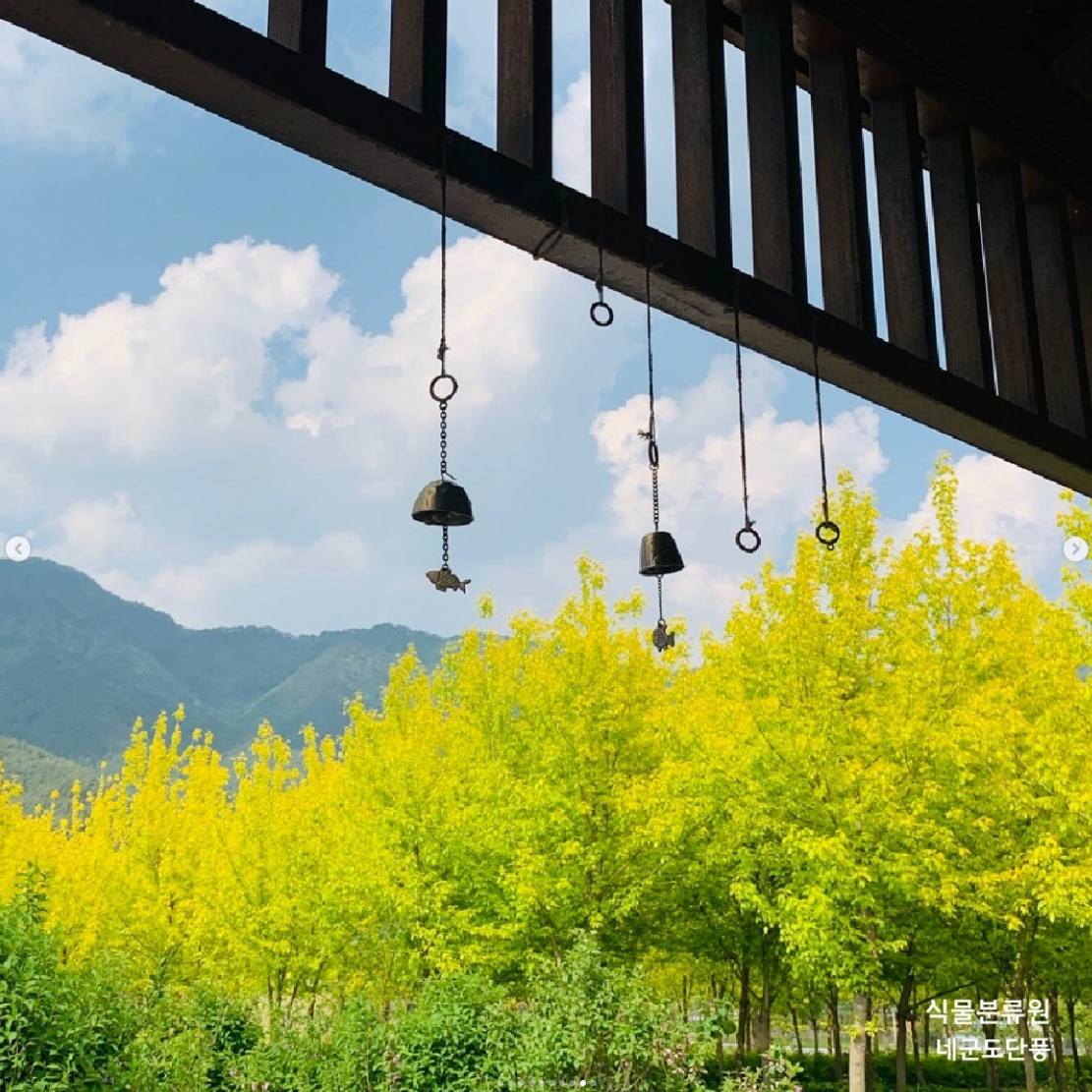 백두대간 봉자페스티벌