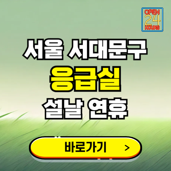 서울 서대문구 설날 연휴 비상진료 응급실 병원 찾기 ❘ 내근처 24시 야간 심야 휴일 가능한 곳