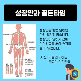 성장판 닫혀도 키 클 수 있는 방법과 성장 호르몬 시기_13