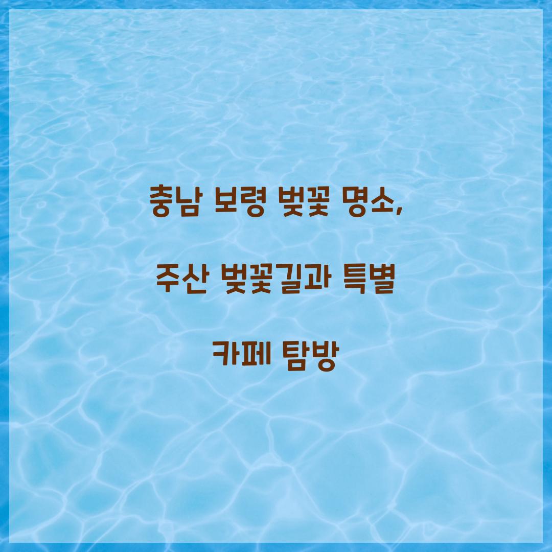 충남 보령 벚꽃 명소