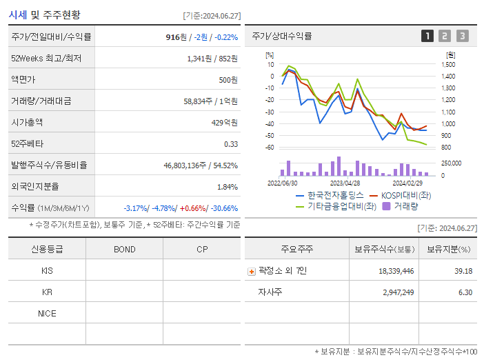한국전자홀딩스_기업개요