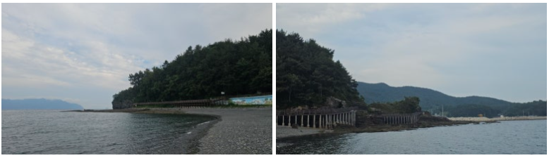 공룡박물관(+공룡공원/상족몽돌해변)