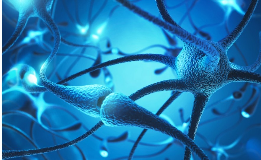 삼차신경통과 염증반응