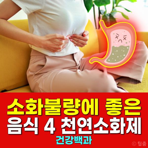 소화불량에 좋은 음식 약재 천연소화제