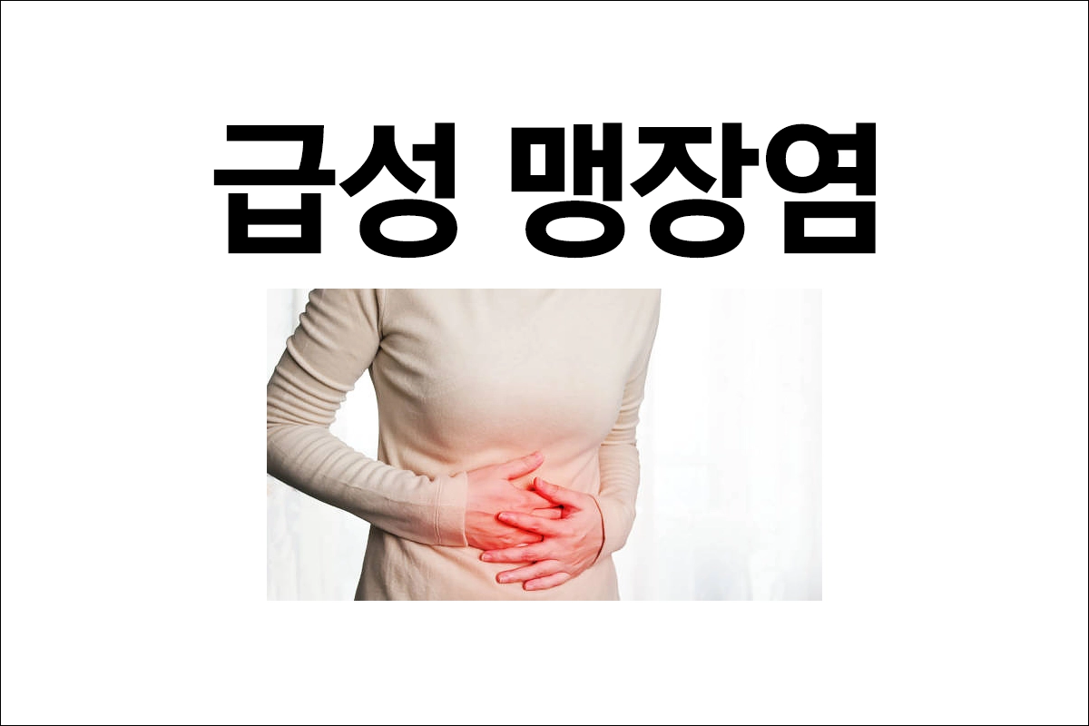 급성 맹장염(충수염) 원인 증상 진단 치료 예방