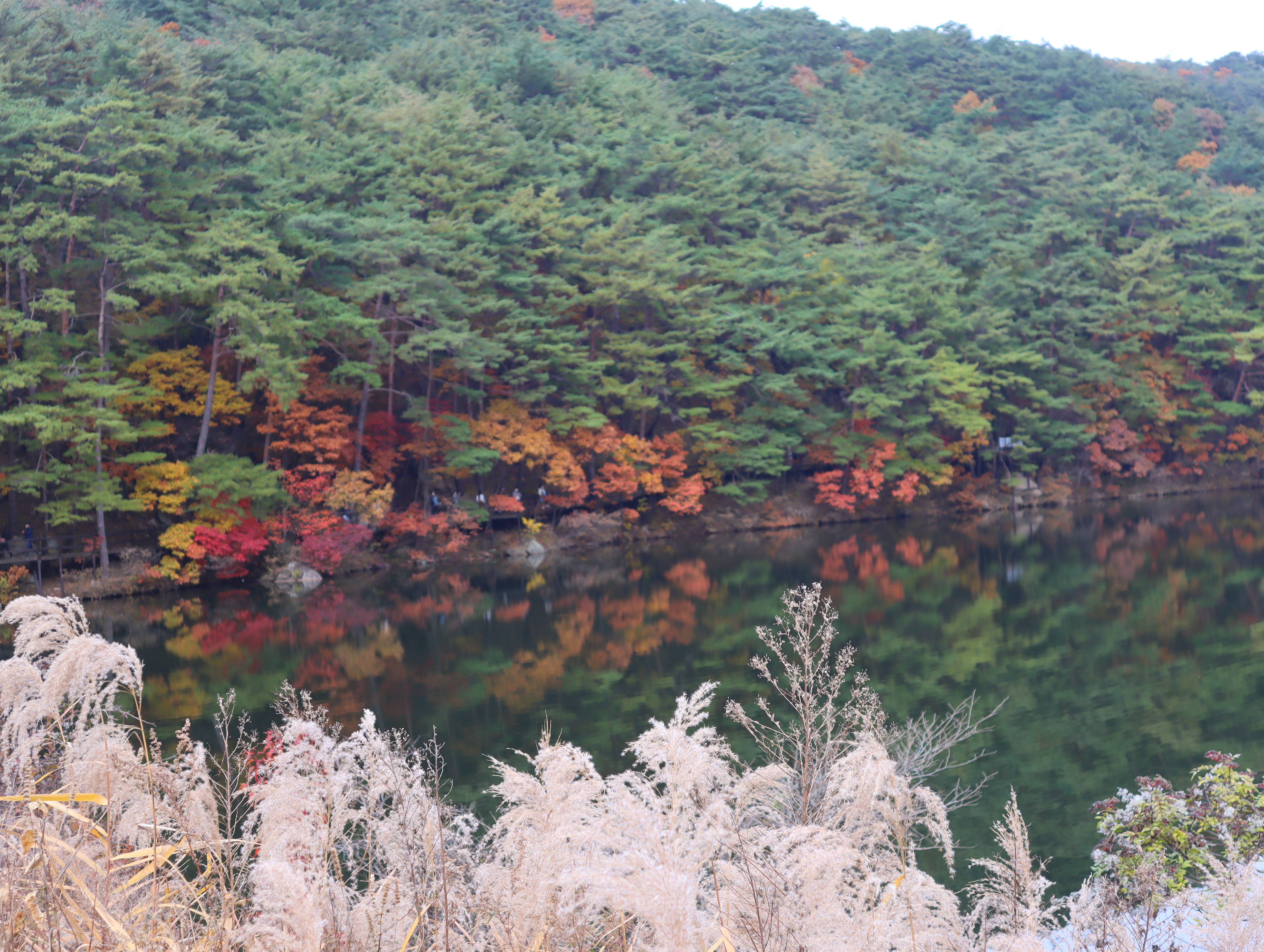 속리산단풍-1