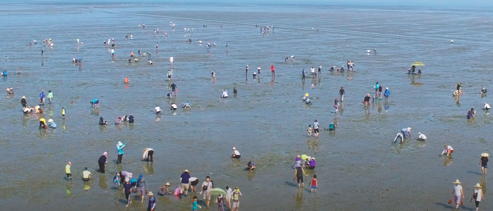 2025 고창갯벌축제