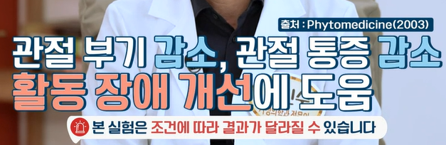 보스웰리아 효능