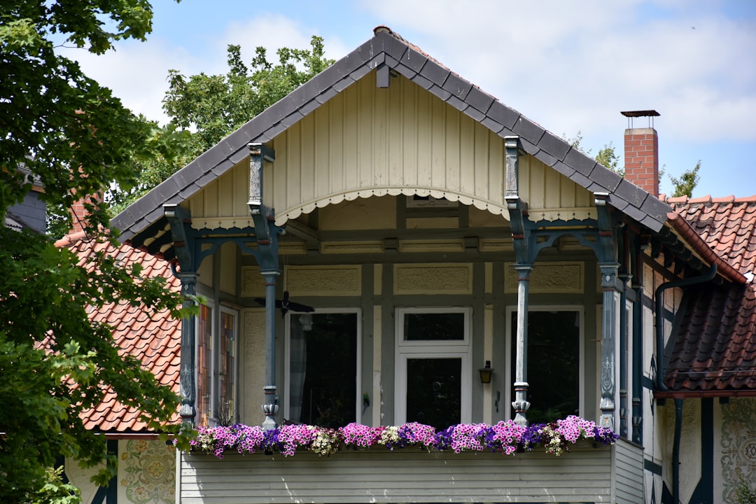 Extension