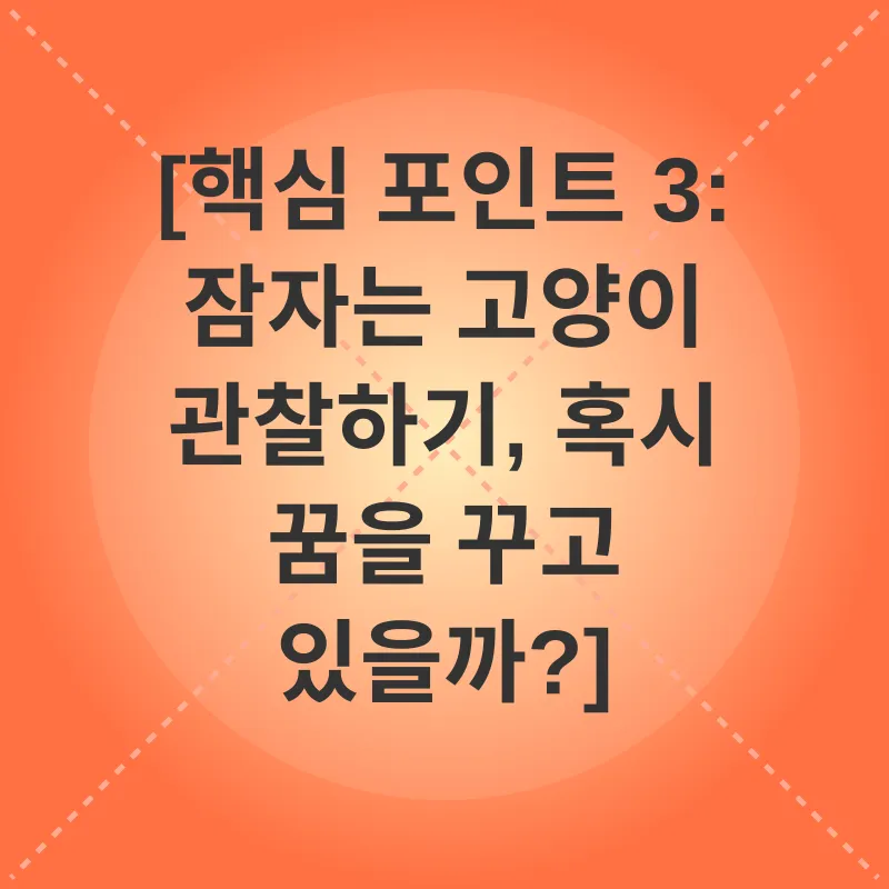 고양이 수면_3