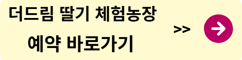 딸기 체험농장 추천