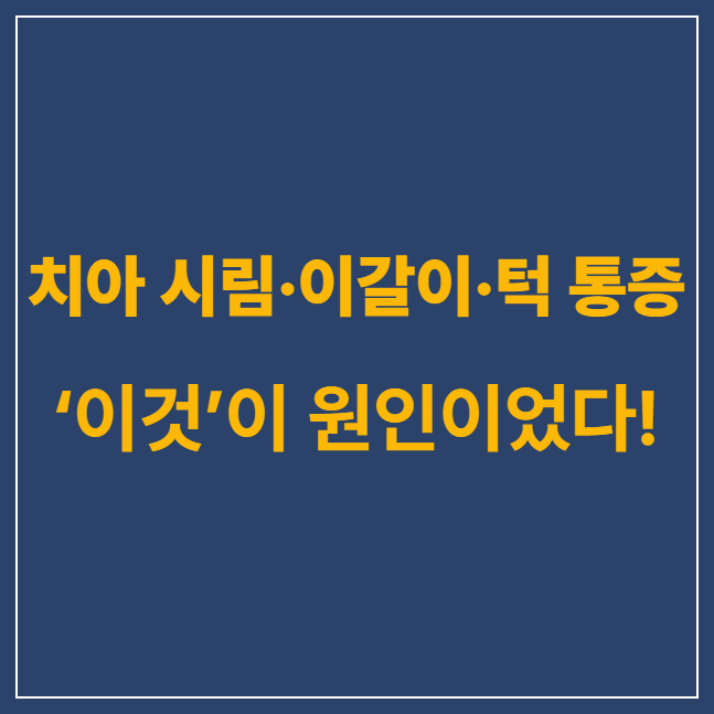 스트레스로 인한 치아시림 썸네일