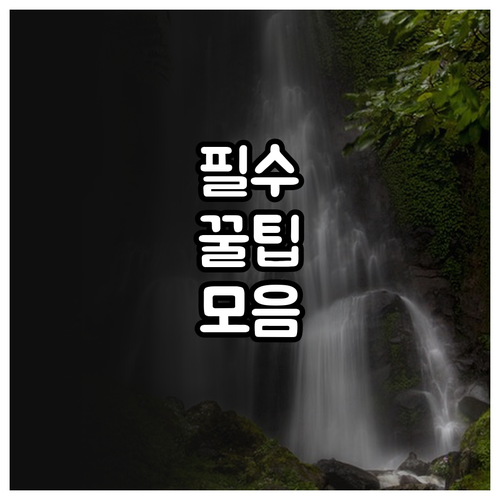 2025 부산 서구 반려견 광견병 예..