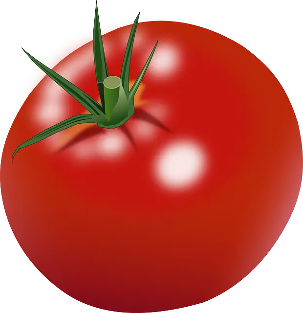 컬러 인문학 - 빨강, 시작과 문화