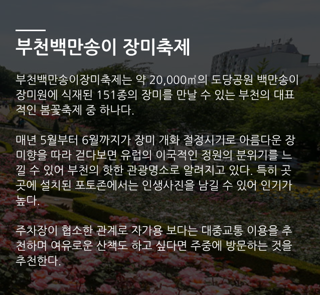 부천 백만송이장미원 관련 사진