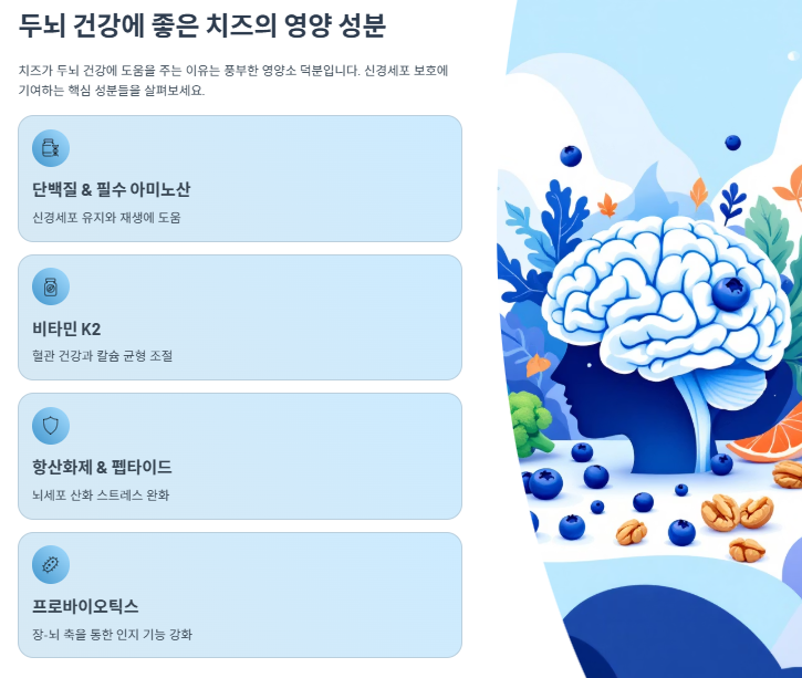 두뇌 건강에 좋은 치즈의 영양 성분