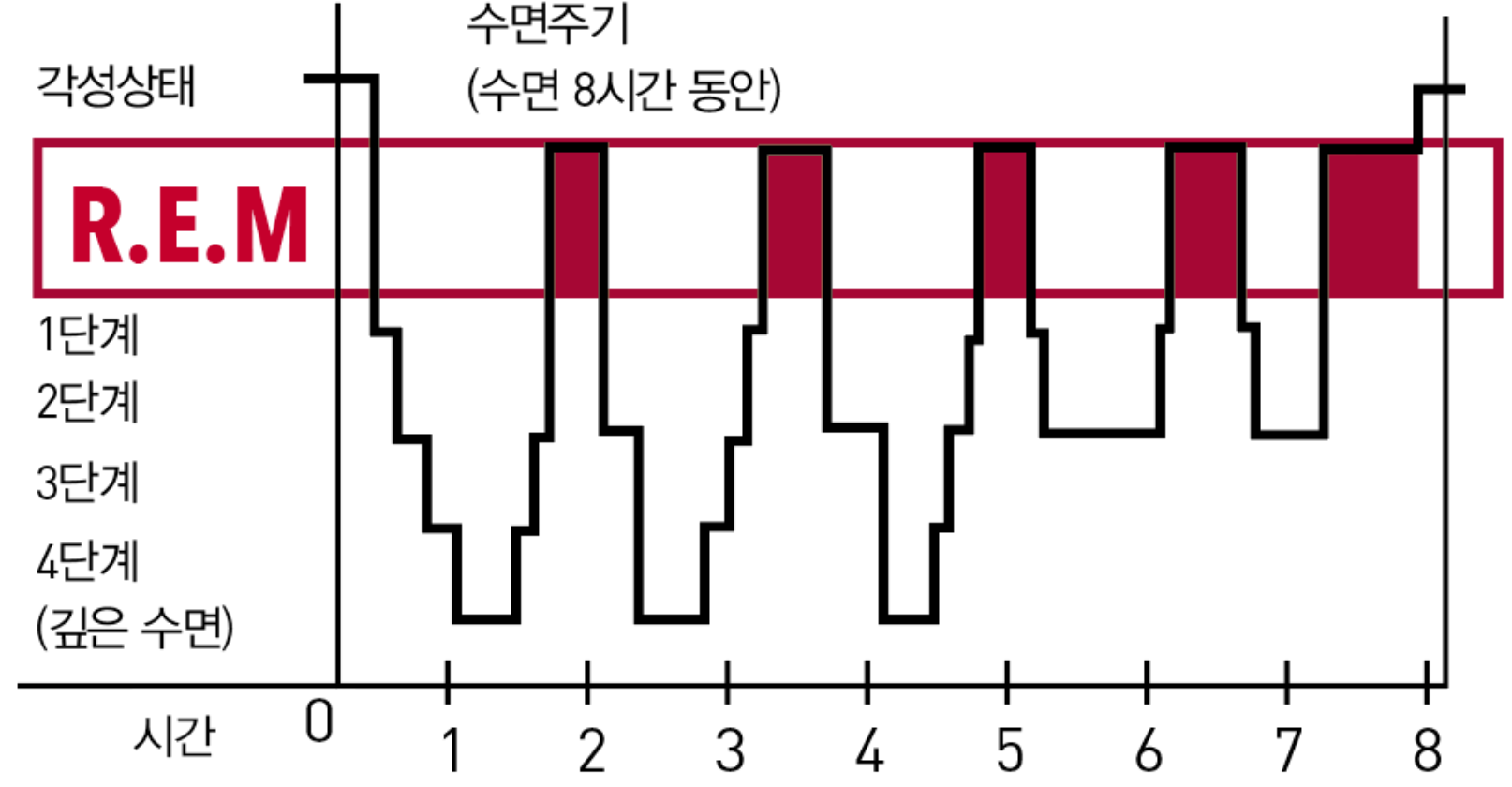 정상적인 수면 패턴