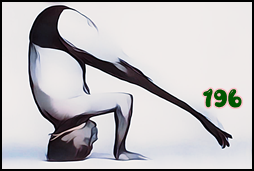 소소한요가 클래스