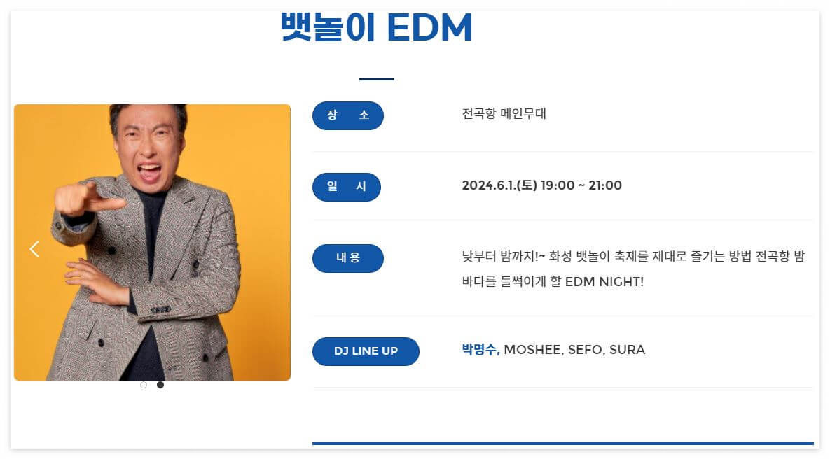 EDM 공연