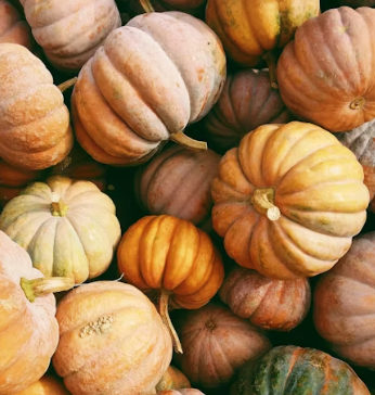 비타민A 부족 증상 먹는법 음식