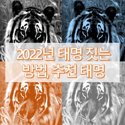 2022년-추천-태명-썸네일