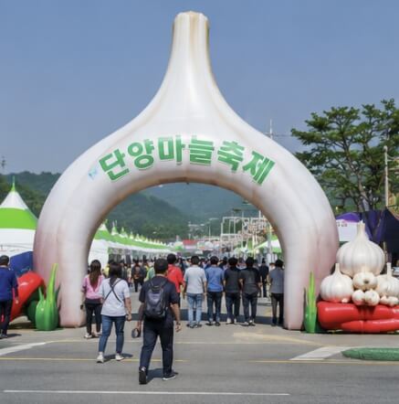 단양 마늘축제 2026