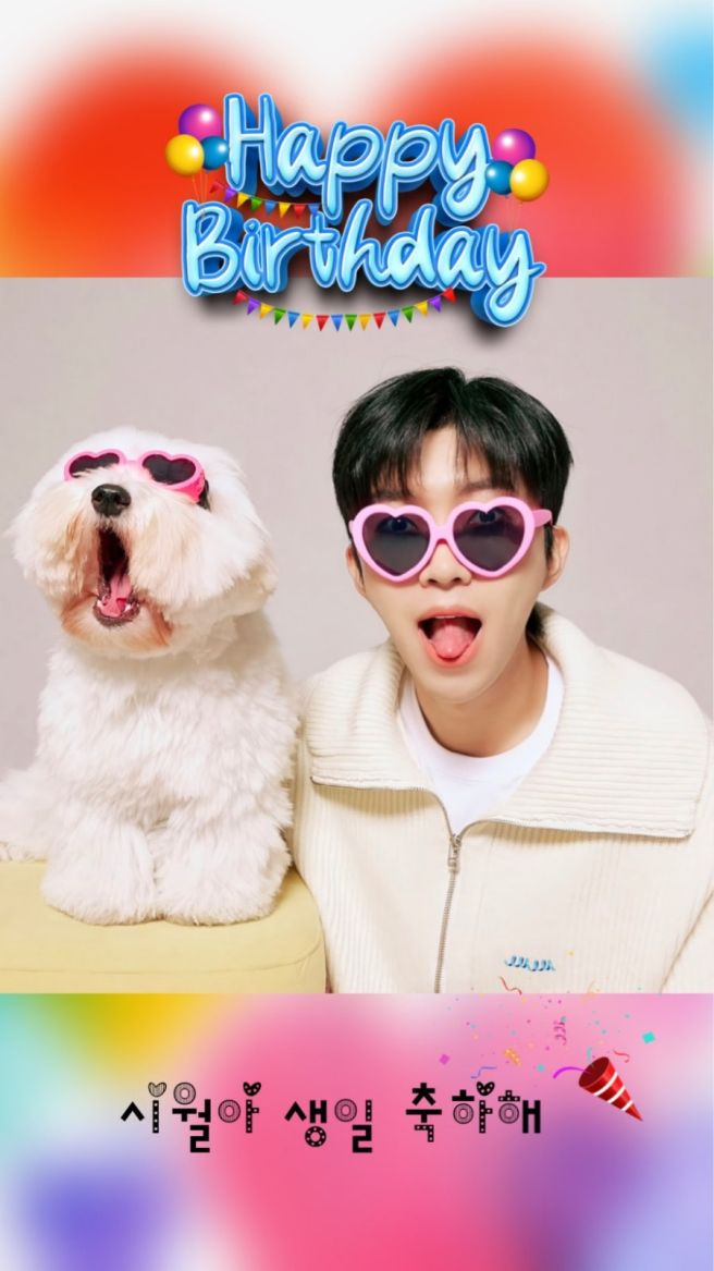 임영웅 반려견 시월이 총정리｜견종 코통 드 튈레아르&middot;나이&middot;생일&middot;입양 사연&middot;또또 뮤직비디오