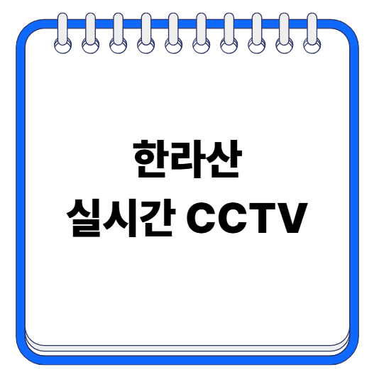 한라산 실시간 CCTV로 날씨 확인하기