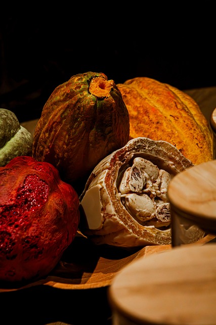 카카오열매가 지닌 깊은 이야기