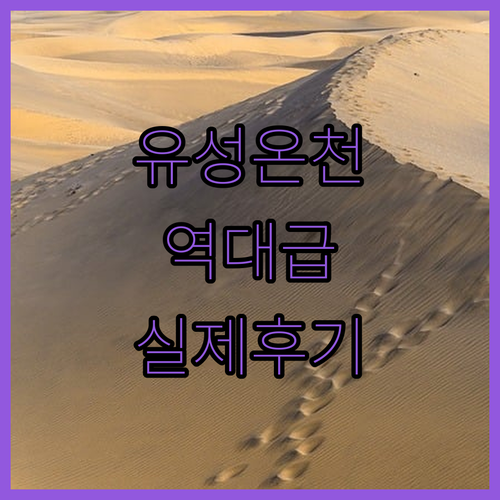 깨끗한 대전 유성 온천 호텔 사진과 ..