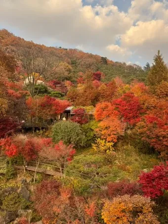 화담숲 예약하기 예약 방법 입장료 모노레일_7